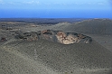 Kanary_2010 150
